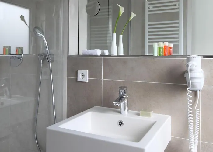 Отель Waldhorn 3*